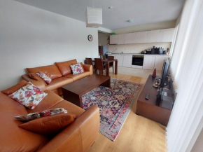 Apartment Pirin